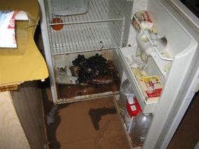 fridge after flood