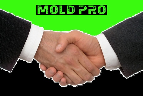 Ny Mold Pro Expert Services